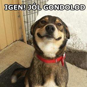 Megint a házba végeztem